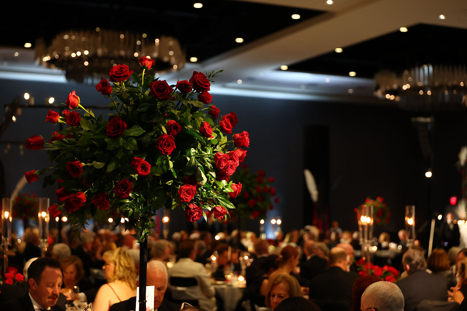 2025 Lyric Opera Ball