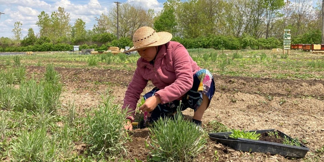 Mar-Amplified_Beyond-the-stage_web