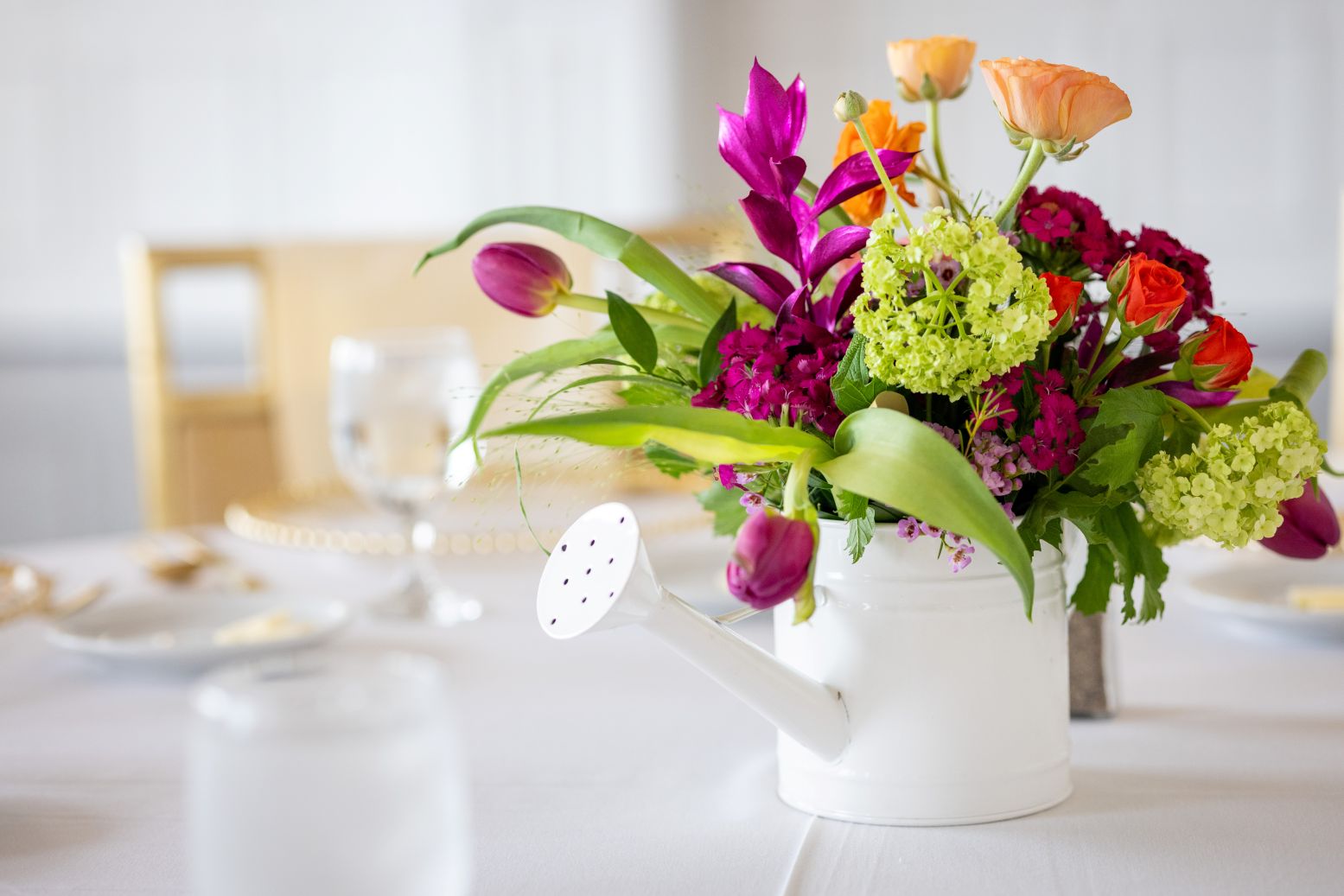 2026 Spring Luncheon / Photo © Brandon Parigo